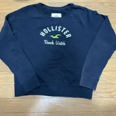 ホリスター　パーカー　HOLLISTER