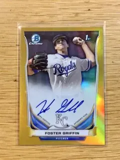 Item thumbnail for item 7739d322-57a1-4582-adc4-432f86a3c547