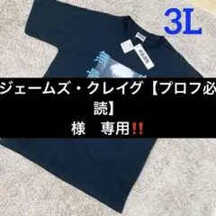 【新品】呪術廻戦　五条悟　領域展開　無量空処 プリント　Tシャツ　メンズ　大きめ