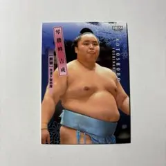 2026年最新】佐渡ヶ嶽部屋の人気アイテム - メルカリ