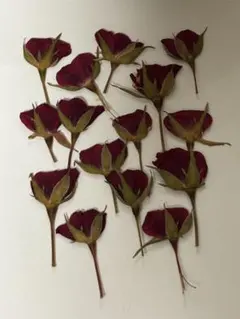 Item thumbnail for item 9da19e1a-52a6-446e-915a-bf465629d172