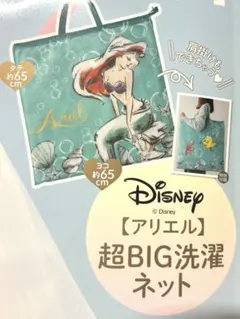 新品　ゼクシィ4月号付録 アリエル 超BIG洗濯ネット 約65cm