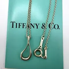 廃盤希少 Tiffany & Co. 馬蹄型 ホースシュー ネックレス 1837 - メルカリ