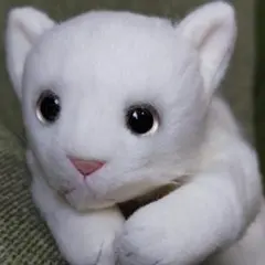 シロネコL　めあき　リアル猫シリーズ　ぬいぐるみ　童心