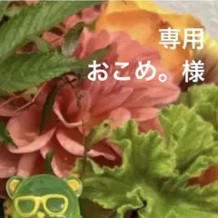 専用ページ 朔茉✪プロフ必読様7/1 - メルカリ