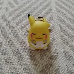 ポケモンキッズ 夢に向かってゴー！編 ピカチュウ＆ワンパチ