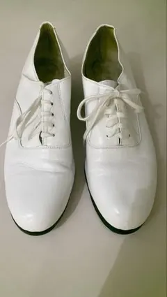 Item thumbnail for item 5c56e3e4-34c7-4b46-9730-884074c6e395