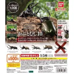 いきもの大図鑑かぶとむし10 4種セット
