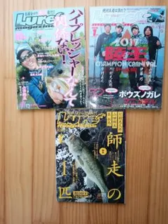 Item thumbnail for item e8282a58-afff-406c-bbd4-58a71bbe20e5