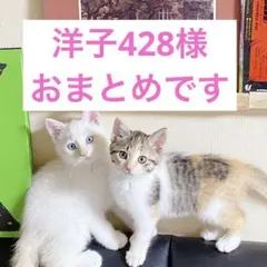 洋子428様 リクエスト 3点 まとめ商品