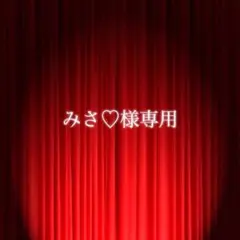 みさ♡様専用ページ