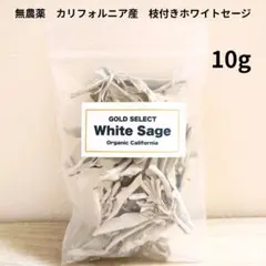 【厳選】無農薬ホワイトセージ 枝付き 10g カリフォルニア浄化/ヒーリングのサムネイル