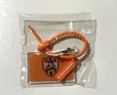 清水エスパルス 2026 Jリーグ マルチチャーム