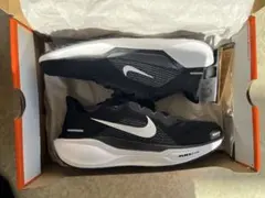 【美品】NIKEペガサス41 ブラック　25.5 cm