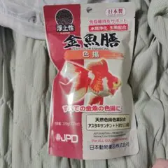 金魚膳浮上性　色揚在庫1のサムネイル