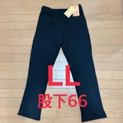 Item thumbnail for item 04c24f95-bb5a-4faf-b849-1b53e7c347b6