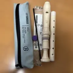 Item thumbnail for item c995a9e4-900f-41d0-a983-754fdbb0d26d