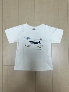 petit main プティプラ 海の生き物 プリント Tシャツ 120cmのサムネイル