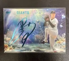 Item thumbnail for item 18457a16-4f8c-45bb-906c-cc9aca35f71c