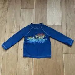 Item thumbnail for item e16b99d4-4393-499d-b44a-28777bcd94e4