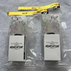 MOMENTUM ペンライト 2個セット　timelesz 【銀テ２本付き】匿名