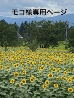 モコ様専用ページ