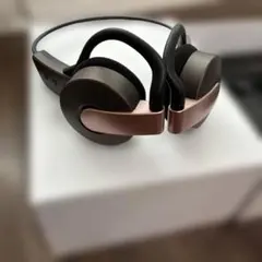 aiwa Butterfly NEO HPB-SW20 カッパーのサムネイル