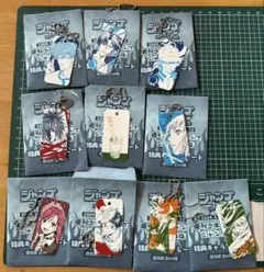 ジャンプフェスタ2009 特典プレート アニメイト キャラプレート 묶음 판매