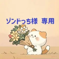 ゾンドっち様　専用(10/12迄)