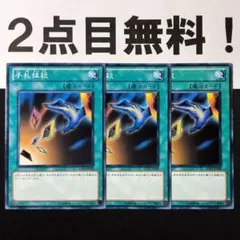 りな様 リクエスト 2点 まとめ商品