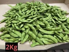 7/6収穫】枝豆 5kg A品 当日発送 朝採れ 新潟系14号 農家直送 新潟
