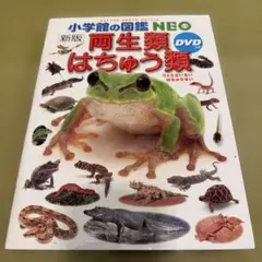 小学館の図鑑NEO　両生類・はちゅう類　中古