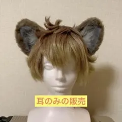 ツイステ　ラギー　コスプレ　Dハロ　耳