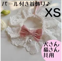 【XS】犬さん　猫さん　ペット　首飾り　アクセサリー　パール　リボン　レース