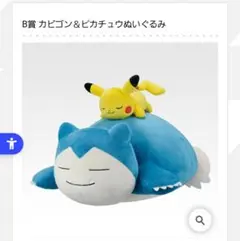 2025年最新】ピカチュウ ぬいぐるみ b賞の人気アイテム - メルカリ