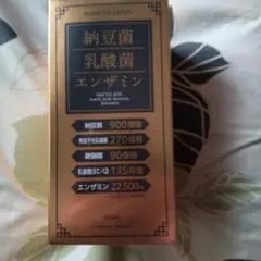 新品未開封 納豆キナーゼ サプリNATTO-KIN ENZYME日本製3箱セット 
