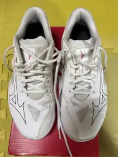 ミズノ　バドミントンシューズ WAVE CRAW EL 2 FIT 71のサムネイル