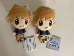 ポケモンマスターズEX グリーン ぬいぐるみ　2点