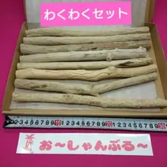 流木セットno.399