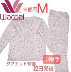 Item thumbnail for item 31c23f8f-4a01-48e7-80ee-739abcd025da