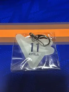 熊谷航 長崎ヴェルカ 蓄光キーホルダー カプセルトイ