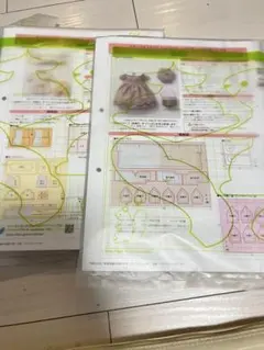 Item thumbnail for item 9f942b22-cc90-4b1b-ae6c-d62e0d44d055