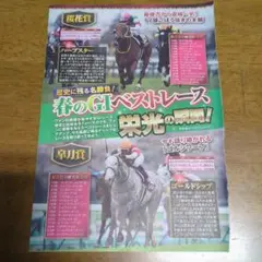 競馬、栄光の瞬間！記事切り抜き