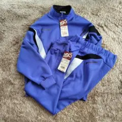 Item thumbnail for item 075bc885-ff99-41f3-b721-73460fce6920