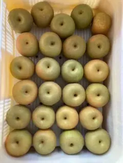 長野県産〉白いちご 約600g ☆クール便送料込☆ - メルカリ