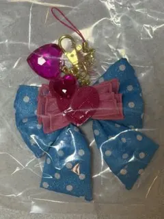 ディズニー　ミニー　パルパルーザミニー@ファンダーランド　ミニファン