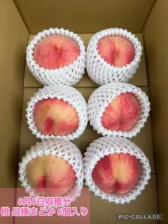 【るる様専用ページ】 本日早朝収穫 桃 品種まどか6個入り