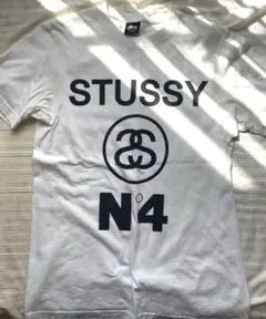 ②【最終値下げ】stussyTシャツ stussy半袖 メンズTシャツ Tシャツ