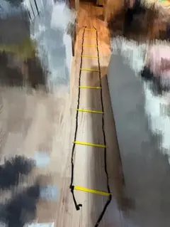 トレーニングラダー 黒と黄色 収納袋付き