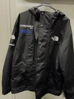 supreme north face expedition jacket L